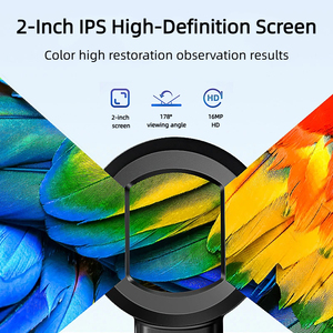 Цифровой микроскоп 200X с 2-дюймовым HD-дисплеем, разрешение 1920x1080, гарантия 3 года - Product Image 4
