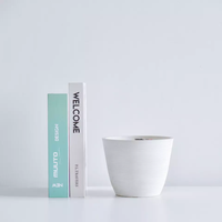 Meilleures ventes de Pots de fleurs unis durables et recyclables pour semis
