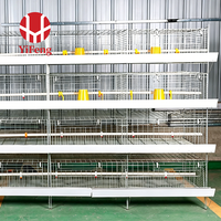 Cage à poulets de chair en batterie de type H, 4 niveaux, alimentation et abreuvement automatiques, abreuvoir à tétine, certifiée CE, avec courroie de fumier en acier galvanisé