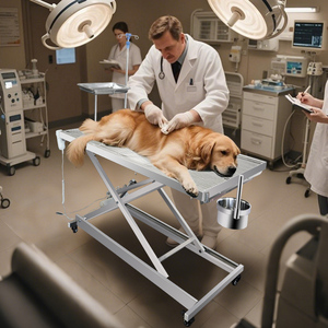 Mesa Quirúrgica <span class=keywords><strong>Veterinaria</strong></span> Eléctrica de Acero Inoxidable Personalizable, Mesa de Cirugía para Mascotas con Altura Ajustable para Hospitales y Clínicas Veterinarias - Product Image 2