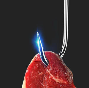 Gancho de Acero Inoxidable de Alta Calidad y Resistencia para Colgar Carne de Res y <span class=keywords><strong>Cerdo</strong></span>, Equipo para Mataderos - Product Image 5