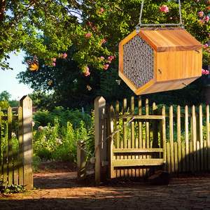 Usine en bois Mason Bee House fait à la main en bois naturel abeille ruche charpentier maisons d'abeilles pour jardin ruche boîte - Product Image 6