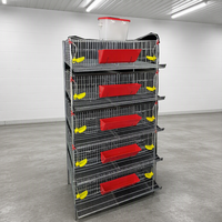 Cages à cailles et perdrix multicouches 3D surélevées avec système d'abreuvement automatique, mangeoire automatique et bac de collecte des excréments pour volailles