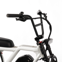 Vélos électriques, vélos électriques à pneus larges, 48v 250W 750W, Fatbike, Ebik, vélo électrique pas cher, vélo de montagne électrique