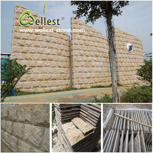 <span class=keywords><strong>Granite</strong></span> <span class=keywords><strong>basalt</strong></span> nấm <span class=keywords><strong>slab</strong></span> gạch cho ngoại thất và nội thất Ốp - Product Image 2