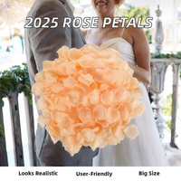 100 pièces de pétales de roses artificielles, pétales de roses rouges pour une soirée romantique, mariage, demande en mariage, anniversaire, décorations florales, cadeaux