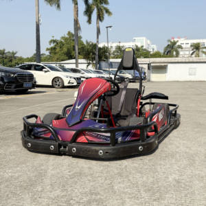 핫 세일 4행정 가솔린 고카트 성인 및 청소년용 전문 상업용 고카트 제조업체 <span class=keywords><strong>200cc</strong></span> 드리프트 가솔린 카트 - Product Image 2