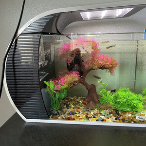 Acquario in Vetro Trasparente Hygger da 5 Galloni con Illuminazione LED, Vasca per Pesci Betta - Product Image 6