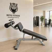 Nouveau design, équipement de musculation de haute qualité, directement de l'usine, équipement de fitness commercial, banc abdominal réglable avec garantie