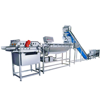 Nieuwe staat industriële groente-en bevroren productielijn type fruit & vegetable verwerking machines