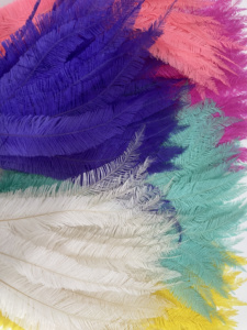 Plumas de Avestruz <span class=keywords><strong>Nandu</strong></span> al por Mayor, Plumas de Avestruz Moradas, Rosas, Blancas, Amarillas y Negras, Plumas de Avestruz Grandes para Vestidos al por Mayor - Product Image 5
