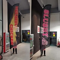 Publicité promotionnelle, installation facile, bannières volantes en polyester, drapeaux de plage, impression personnalisée du logo, drapeaux à plumes d'extérieur