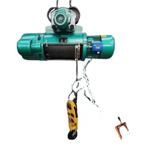 Professional manufacture Electric Chain Block Hoist Customised different capacity Light lifting hoist