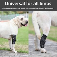 Attelle de genou pour chien en néoprène avec bande métallique, support élastique, protection articulaire pour chien âgé, aide à la rééducation postopératoire