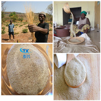 Petite ligne de traitement du millet, machine à moudre le riz