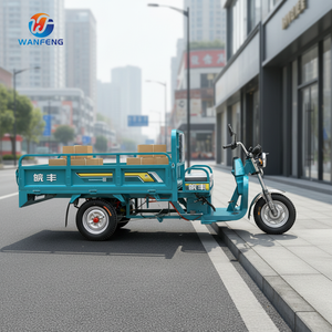 Tricicli Elettrici a Tre Ruote di Grande Capacità e Praticità per il Trasporto di Merci nel Mercato - Product Image 3