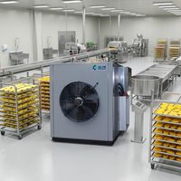 Semi-automatische warmtepomp fruitdroogmachine voor mangoverwerking 160kg roestvrij staal eenvoudig onderhoud