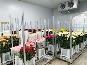 Secchi danesi quadrati di plastica di grandi dimensioni per il secchio del flor center - Product Image 3