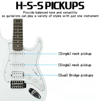 OEM ODM 39 Inch Full Size Electric Guitar with 5w Amp, Rosewood, 6 String, Shoulder Strap, Capo, and Bag