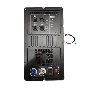 إصدار جديد احترافي لصوت DSP وحدة نشطة ، خرج صوت عالي الطاقة 4ohm قذيفة معدنية مقاومة - Product Image 2