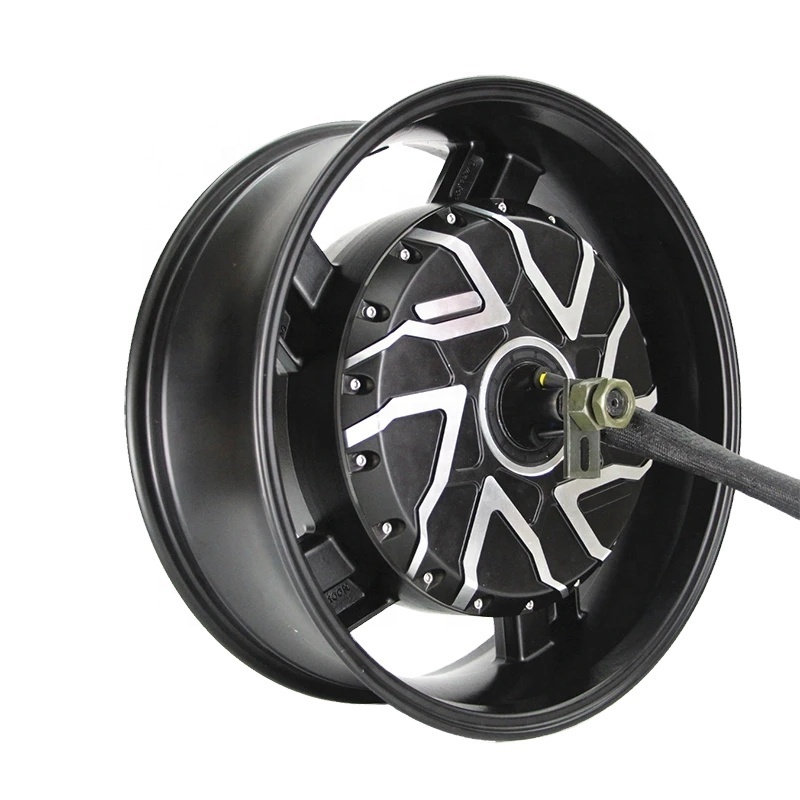 QS Motor 17x6 0inch 12000W 273