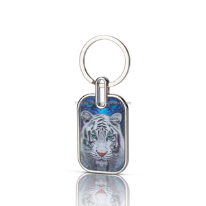 Llavero Lenticular 3D de Anime en Oferta, Servicio de Impresión de Llaveros 3D para Regalos Promocionales - Product Image 1