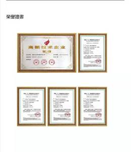 Chaudières industrielles à gaz BAIRAN BURNER GAS BG10 de haute qualité (220v, 50hz) - Vente chaude en usine - Product Image 6