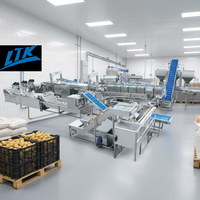 Nieuwe volautomatische productielijn voor frieten, hoog-efficiënte productie van chips, warmtewisselaar, verwerking van fruit en groenten