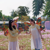 Film transparent fait à la main DIY Ailes de papillon colorées pour enfants Paquet de matériel Cellophane coloré pour autres métiers Lumière