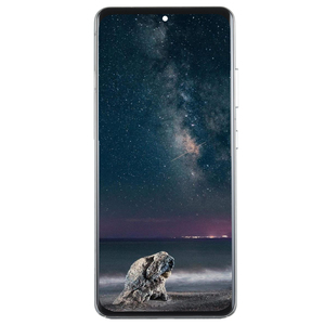Commercio all'ingrosso Display Lcd per samsung <span class=keywords><strong>galaxy</strong></span> <span class=keywords><strong>S21</strong></span> ultra 5g telefono originale Incell sostituzione dello schermo - Product Image 2