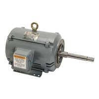 Moteur à induction TEFC Premium 0,75 kW 230 V 460 V 60 Hz Triphasé à enroulement de rotor Certifié ISO9001 Montage sur pied pour usage industriel