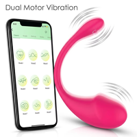 Neue APP Fernbedienung Vibrierendes Ei-Ball Vibrator-Höschen Tragbarer Slip-Vibrator Sexspielzeug für Frauen