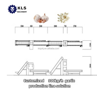 KLS Ligne de traitement de l'ail en acier inoxydable entièrement automatique Système de tri AI Économisez 50% coût de la main-d 'œuvre