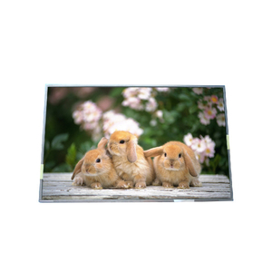 B170PW05 V1 จอแสดงผล LCD คุณภาพสูง ขนาด 17.0 นิ้ว ความละเอียด 1440*900 60Hz - Product Image 1