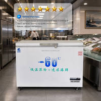 Congélateur coffre commercial Haibor à très basse température (-60°C) pour fruits de mer, certifié CE, vente en gros, OEM, ODM