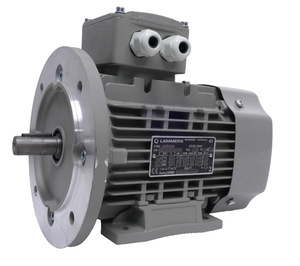 PLC <strong>Lammers</strong> 15AA 801-2 Three Phase Motor | 0.75-0.86kW 2880-3468rpm | Shaft 19mm Warranty Product - Product Image 1
