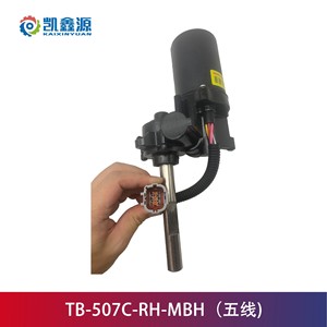 Motor de pedal eléctrico para automóvil Kaixinyuan TB-507C-RH-MBH 12V con escobillas para reemplazo y reparación, color negro - Product Image 2