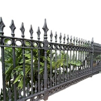 Clôture en fer forgé sur mesure, revêtement en poudre noire, panneaux de clôture en fer ornemental, résistants à la rouille, décoratifs pour la cour