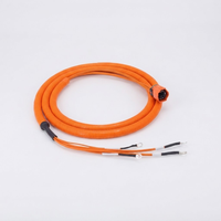 Câble haute tension personnalisé pour véhicules électriques, assemblage étanche IP67, faisceau de câblage en silicone ignifuge UL94 V-0, batterie haute courant