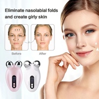 Mini appareil de lifting du visage à micro-courant, masseur facial ABS, outil de soin de la peau, rouleau facial pour le resserrement des rides
