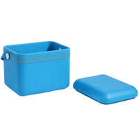 Nouveauté Glacière EVA pour le camping Glacière portable en matériau EVA isolé Glacière de terrain Barre à glace Boîte à glace 10L