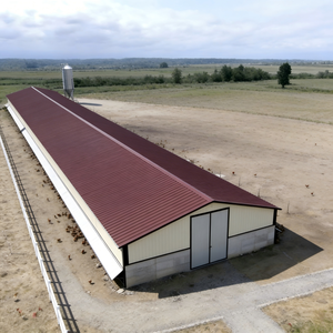 Poulailler en acier préfabriqué, installation facile pour les petites et moyennes exploitations agricoles - Product Image 2