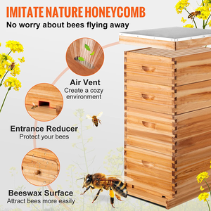Equipo de Apicultura: <span class=keywords><strong>Colmena</strong></span> de Abejas de Madera de 4 Niveles y 10 Cuadros - Product Image 2