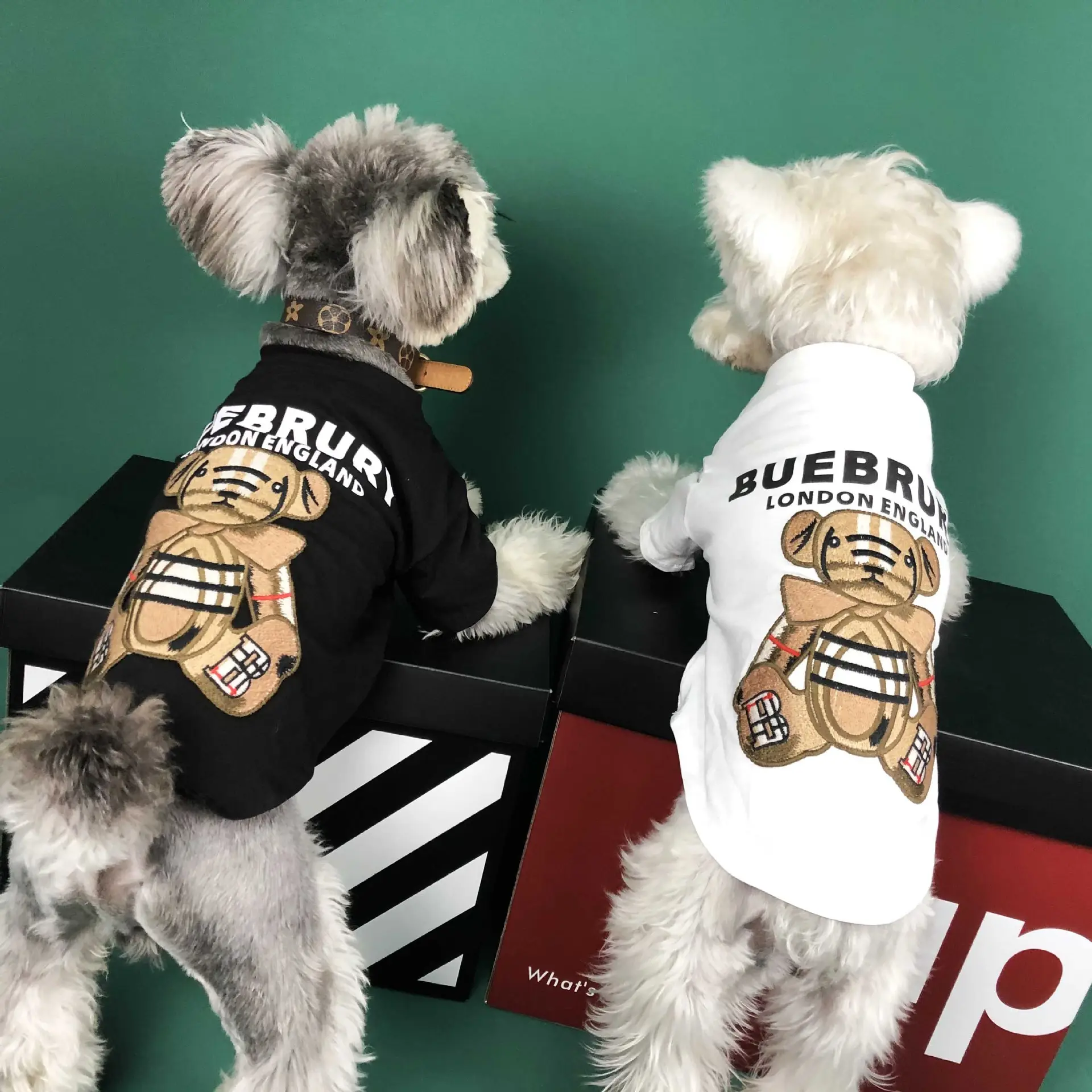 Fashion Designer Hot Jumper Hewan Peliharaan Lengan Pendek Kasual Teddy T-shirt Beruang Anjing Mantel Hangat Pakaian Mewah untuk Hewan Kecil