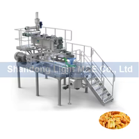 Chaîne de production de pâtes de nouilles instantanées rendant la ligne de processus de machine industrielle
