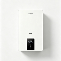 Chaudière murale à gaz 20KW compacte et intelligente avec WIFI, faibles émissions de NOx, silencieuse, eau chaude instantanée tout-en-un pour petits appartements