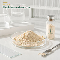 Extrait Pur en Vrac d'Hericium Erinaceus Crinière de Lion