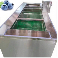 Professionele 304 Ss Bosbessen Sizer Machine Voor Grote Boerderijen