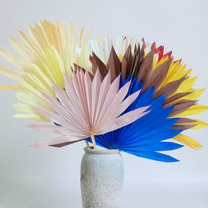 Abanico conservado color hojas de <span class=keywords><strong>palma</strong></span> secas <span class=keywords><strong>Palma</strong></span> decorativa hojas de <span class=keywords><strong>girasol</strong></span> Decoración flor seca - Product Image 4