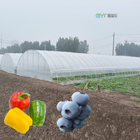Serre agricole en film plastique à simple travée avec système hydroponique NFT à vendre
